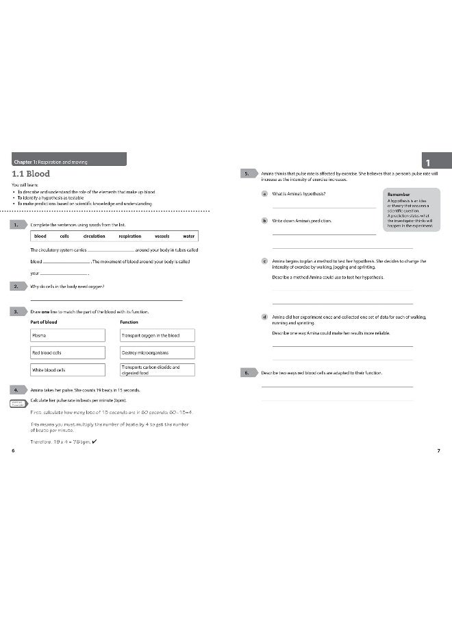 Lower Secondary Science Workbook: Stage 8 - Image 4