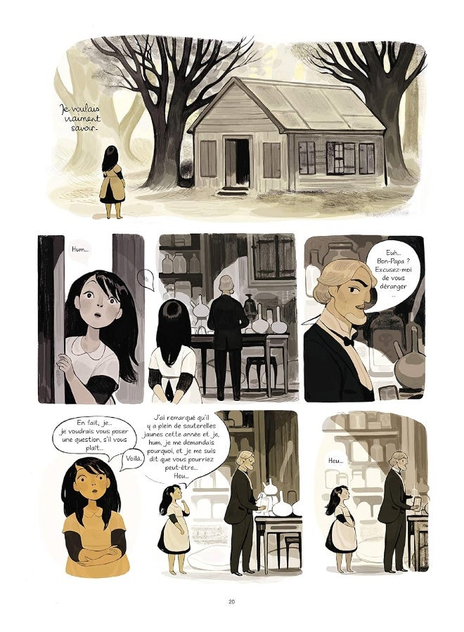 CALPURNIA TOME 2 BD - Image 4