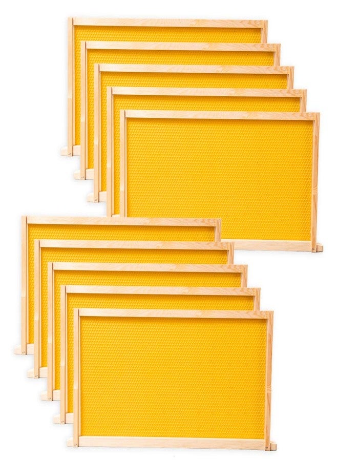 BeeCastle 10-Pack Waxed Natural Rite-Cell Foundation with Complete Unassembled Commercial Frames, 9-1/8-Inch - Image 1