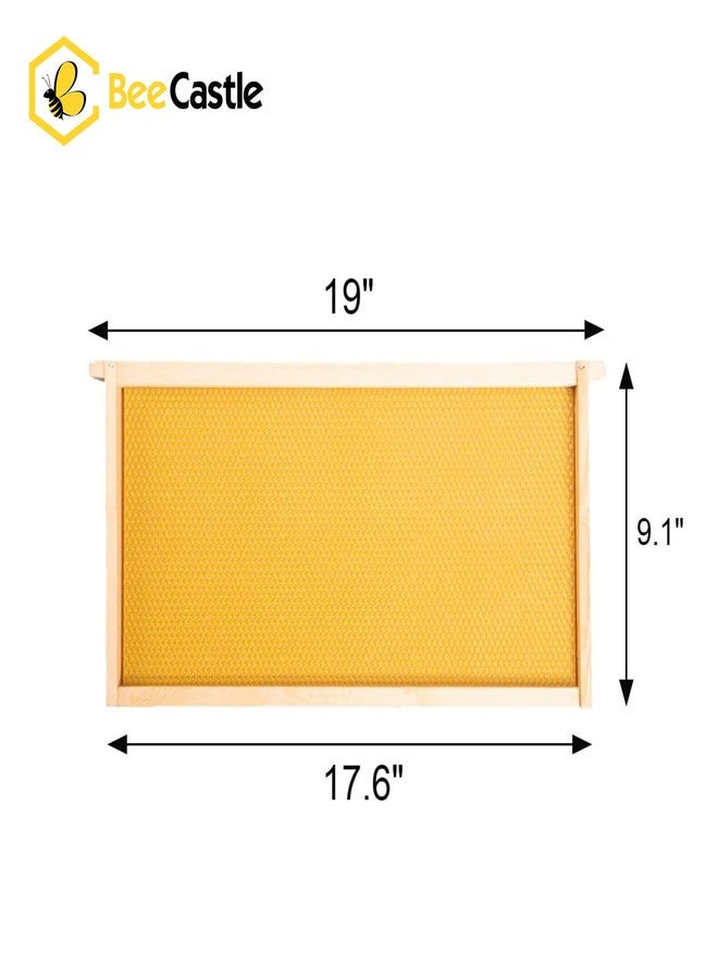 BeeCastle 10-Pack Waxed Natural Rite-Cell Foundation with Complete Unassembled Commercial Frames, 9-1/8-Inch - Image 3