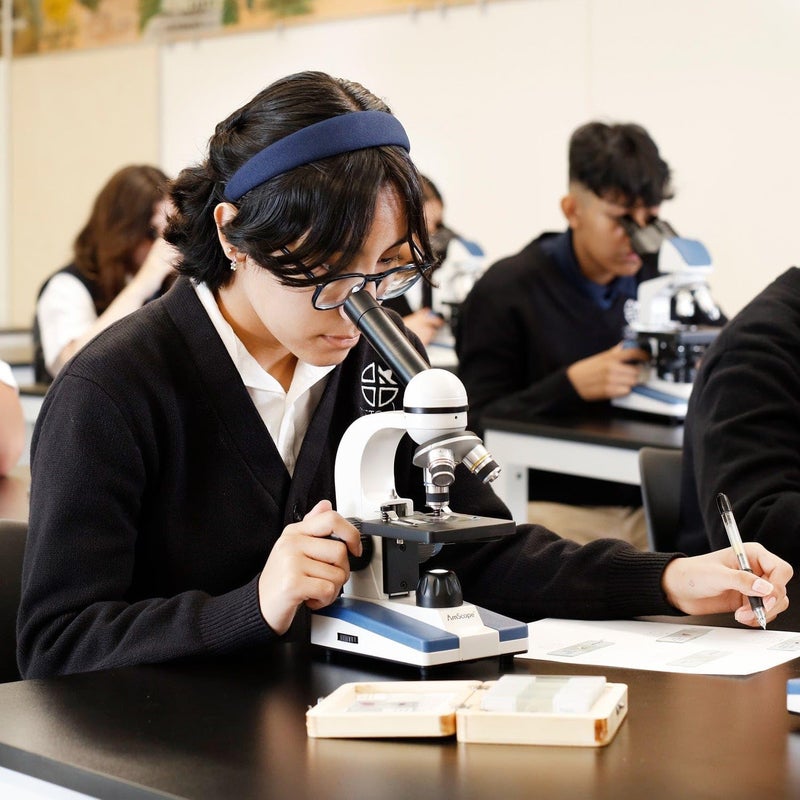 AmScope M150 Series Portable LED Monocular Student Compound Microscope - 40X-1000X Magnification - Microscope Kit Includes Dust Cover, 2 Clips & 2 Eyepieces - Image 2