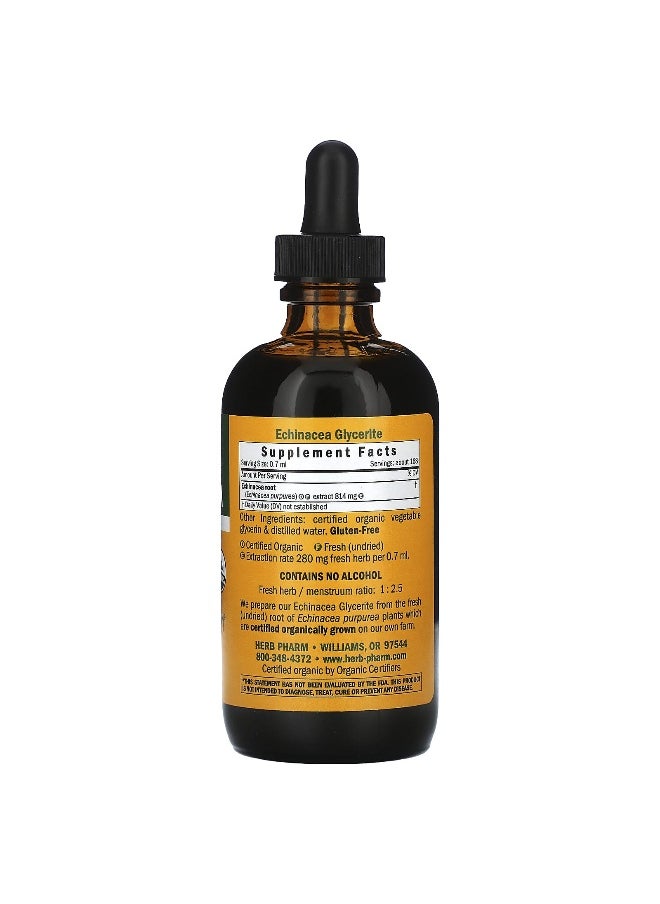 HERB PHARM - Herb Pharm, Echinacea, Alcohol-Free, 814 mg, 4 fl oz (120 ml) - Image 1
