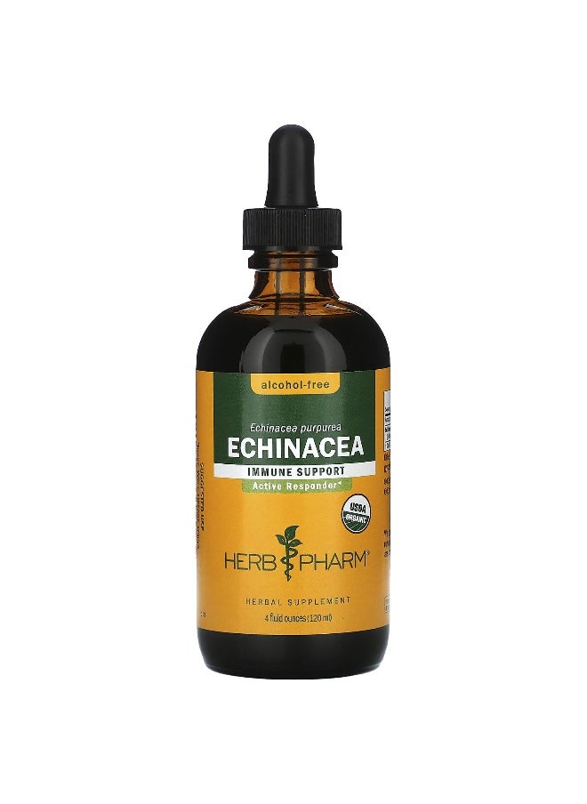 HERB PHARM - Herb Pharm, Echinacea, Alcohol-Free, 814 mg, 4 fl oz (120 ml) - Image 1