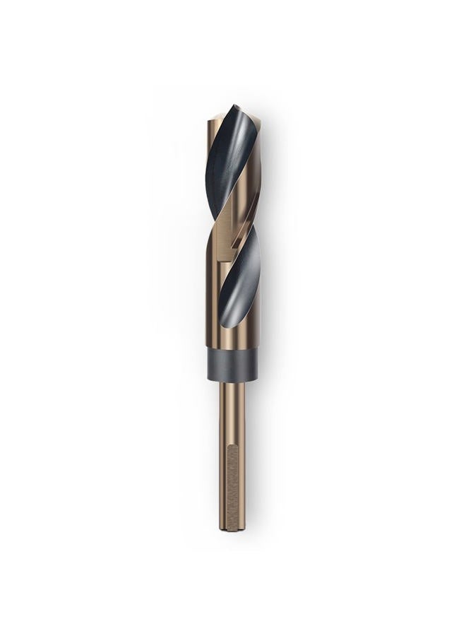 LEPEVNEY 12mm Reduced Shank Twist Drill Bit with 10mm Shank for Stainless Steel Aluminum Alloy Metal Copper Plastic Wood, Made of High Speed Steel 4341 Ideal for Drilling Steel Plate - Image 1