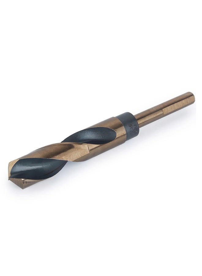 LEPEVNEY 12mm Reduced Shank Twist Drill Bit with 10mm Shank for Stainless Steel Aluminum Alloy Metal Copper Plastic Wood, Made of High Speed Steel 4341 Ideal for Drilling Steel Plate - Image 4