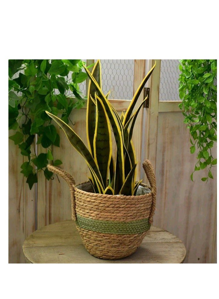 Wicker Set of 3 Pieces in Various Sizes - Perfect for Plants and Décor T  - Image 1