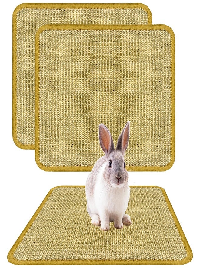 DYAUS Rabbit Scratching Pad, Sisal Bunny Scratch Pad, Natural Rabbit Foraging Mats for Cages, Indoor Bunny Toys Accessories for Bedding Biting Sleeping Resting (2PCS, 16x12in) - Image 1