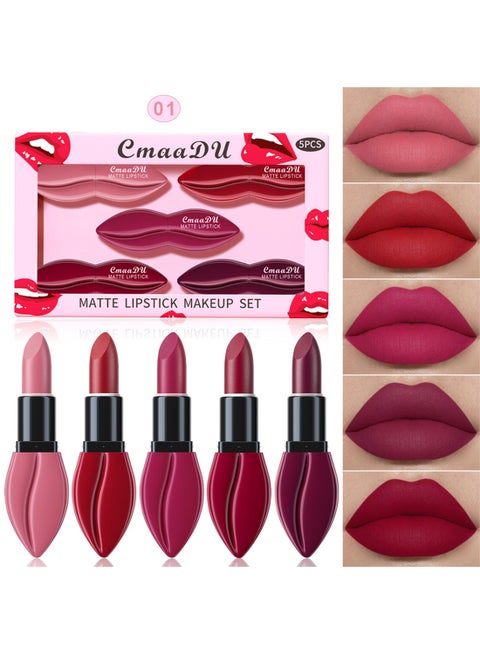 5 Colors Matte Lipstick Makeup Set Velvet Long Lasting Waterproof Smudge Proof Non Sticky Not Fade Lightweight High Pigmented Portable Multi Use Gift Set for Women