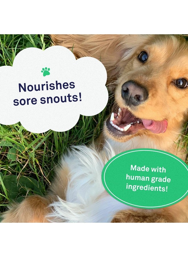 Petpost | Snout Balm for Dogs - Nourishing Snout Soother Balm Heals Dry Dog Noses with Moisturizing Ingredients - Organic Coconut Oil, Jojoba Oil, and Shea Butter 0.64 oz. - Image 3