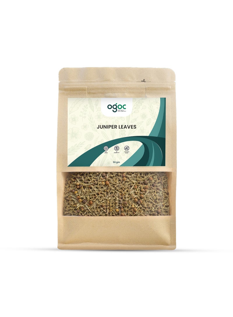 OGOC Juniper Leaves Moroccan Maghribi Dried Aromatic Herbal Leaves Traditional Flavoring Leaves Pantry Essential For Cooking Seasoning Tea And Infusions - Image 1