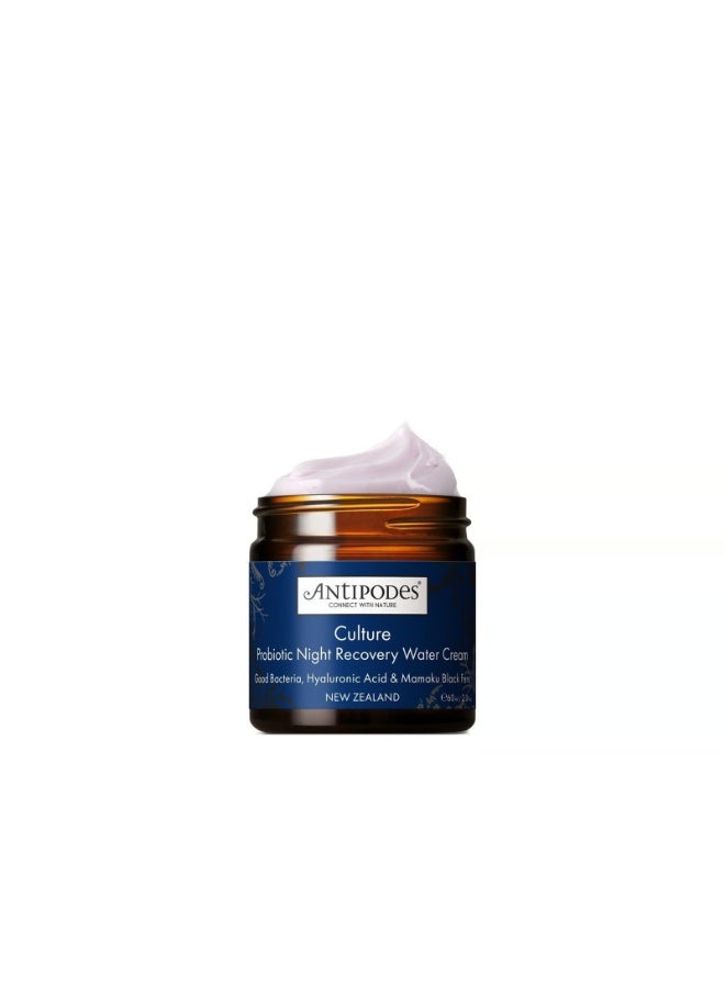 Antipodes Culture Probiotic Night-Recovery Water Cream 60ml - Image 1