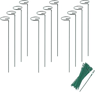 joyhalo Joyhalo Plant Support Stakes, 12 Pack 15.7 inch Flower Stakes, Garden Flower Support with 24 Pcs Twist Ties, Steel  - Image 1