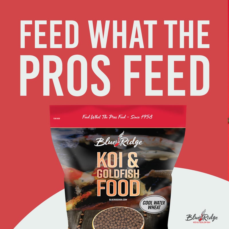 Blue Ridge Koi Fish Food 5lb - Cool Water Wheat 3/16", Fall and Winter Floating Pond Pellets, Ponds Fish Food - Image 3