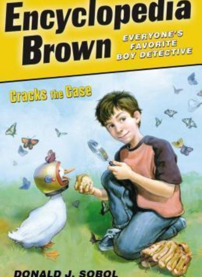 ENCY BROWN24 CRACKS CASE 