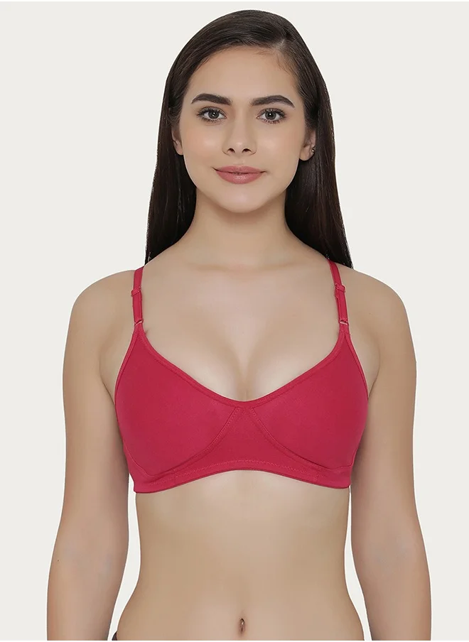 Clovia Clovia Pack of 3 Non-Padded Non-Wired Full Cup T-shirt Bra -Cotton Rich