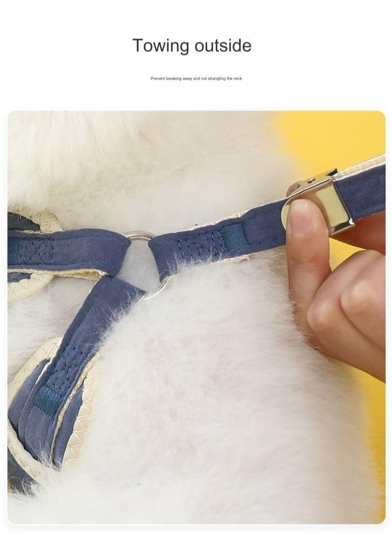 A.M - Adorable Dog Harness, Adjustable Dog Harness for Small Medium Dogs No Pull, Small Dog Harness with Leash, Easy Walk Dog Harness, Breathable Soft Mesh No Choke Dog Harness Puppy Cat Harness - Image 1