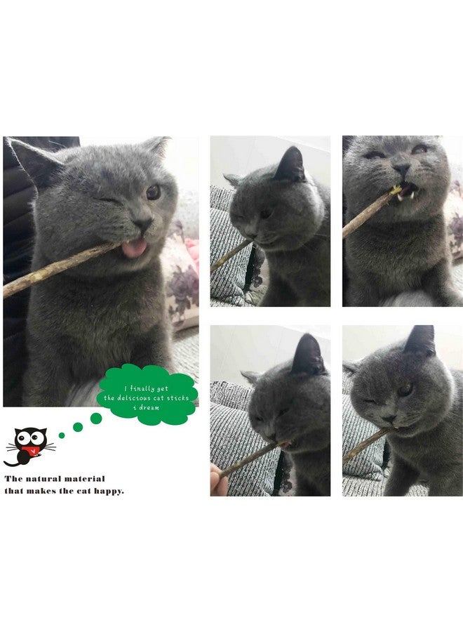 CXP Good Goods Silvervine Sticks Cat Toys,Natural Matatabi Catnip Chew Sticks,Cat Teeth Molar Teeth Cleaning(26 PCS) - Image 5