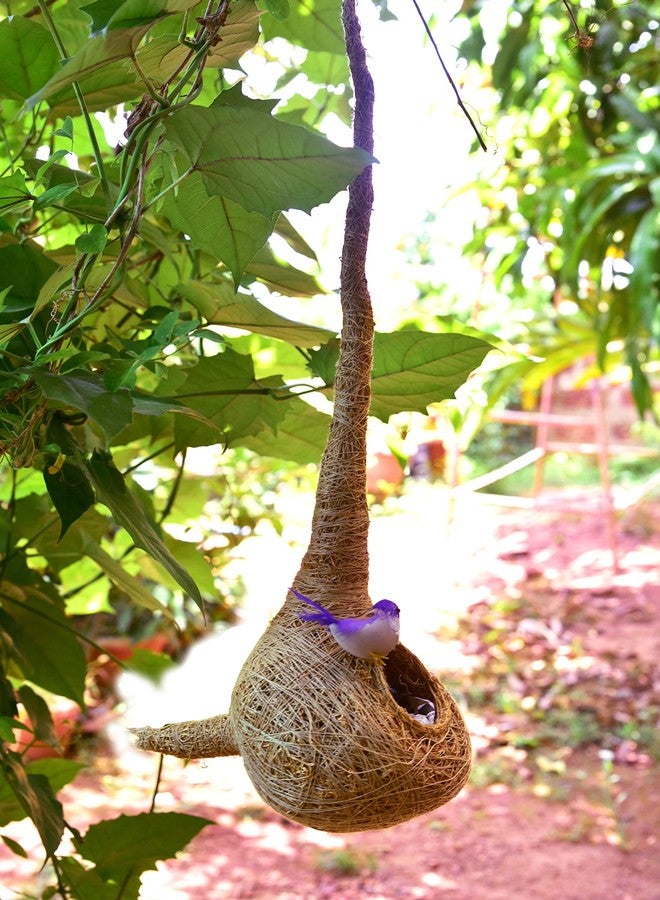 Vetiver Root Bird Nest - Image 2