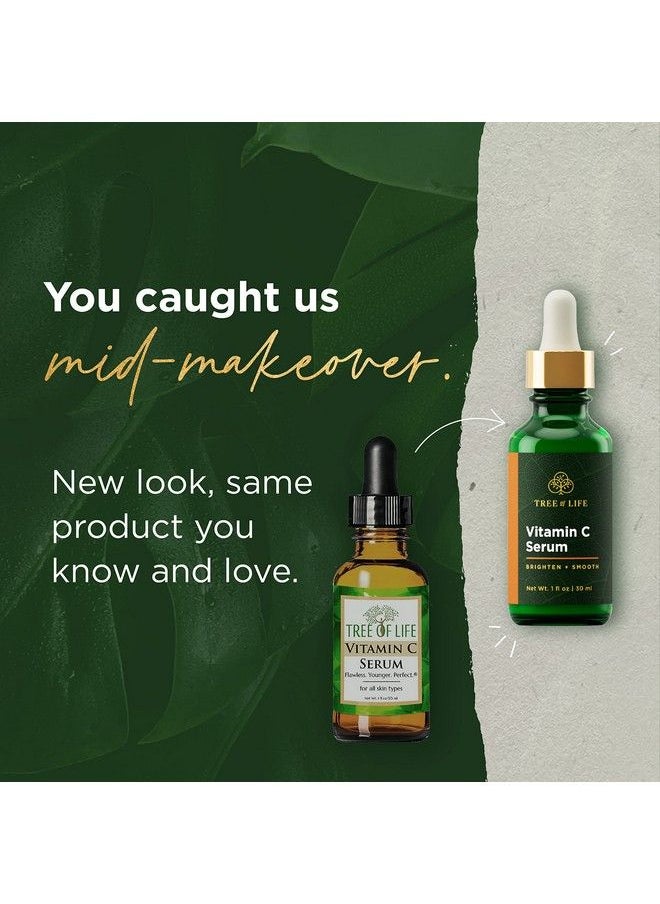 Tree of Life Beauty Tree Of Life Vitamin C Brightening Serum And Hyaluronic Acid Hydrating Serum Smooth Sailing Facial Serum Duo Renewing And Smoothing For Face Clean Dermatologisttested Skin Care 2 Count X 1 Fl Oz  - Image 3