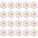 BIEUFBJI 20 Pieces Daisy Balloons Daisy Balloons for Daisy Birthday Decorations Baby Shower Wedding Baby Shower - Image 3