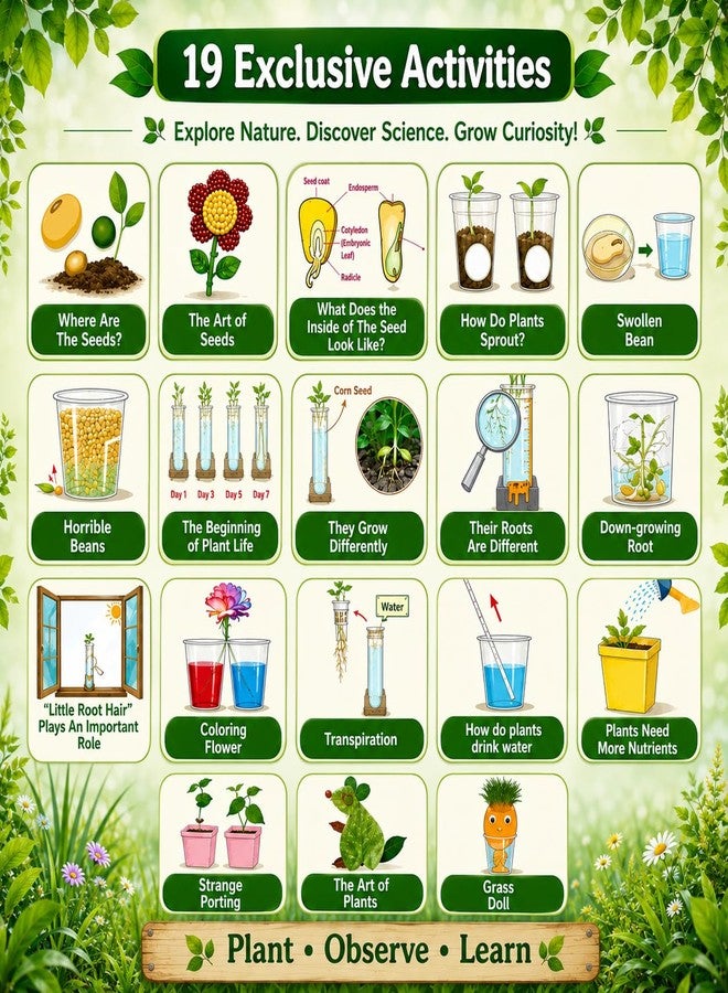 كيت 4 كيوريس مجموعة Kit4Curious® للنباتات وعلم النبات والعلوم: أكثر من 100 تجربة للأطفال من عمر 6 سنوات فما فوق | مجموعة زراعة النباتات والبحث العلمي | لعبة تعليمية ذكية وممتعة، هدية عيد ميلاد للأولاد والبنات - Image 5