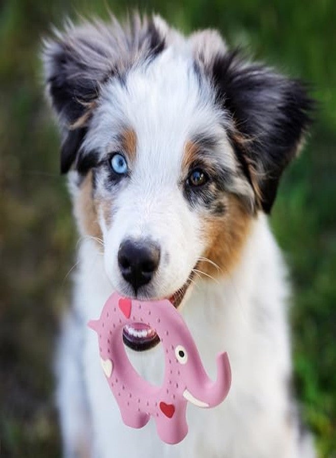 سبوت لعبة حلقة مطاطية للكلاب من SPOT - ناعمة وخالية من الحشو مع صفارة تصدر صوتاً، مصنوعة من اللاتكس بنسبة 100%، بألوان زاهية، مثالية للكلاب الصغيرة والجراء والكلاب التي تمضغ الأشياء برفق، مقاس 5 بوصات، أشكال متنوعة - Image 3