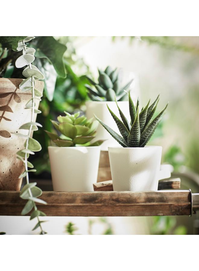 Zaboon Artificial Potted Plant With Pot, In/Outdoor Succulent, 6 Cm 3 Pack - Image 2