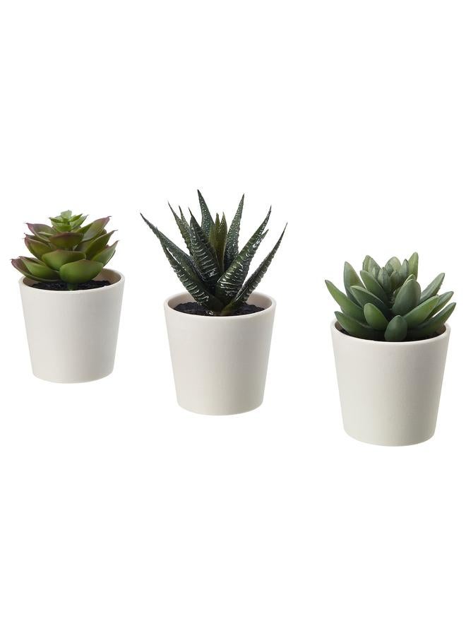 Zaboon Artificial Potted Plant With Pot, In/Outdoor Succulent, 6 Cm 3 Pack - Image 1