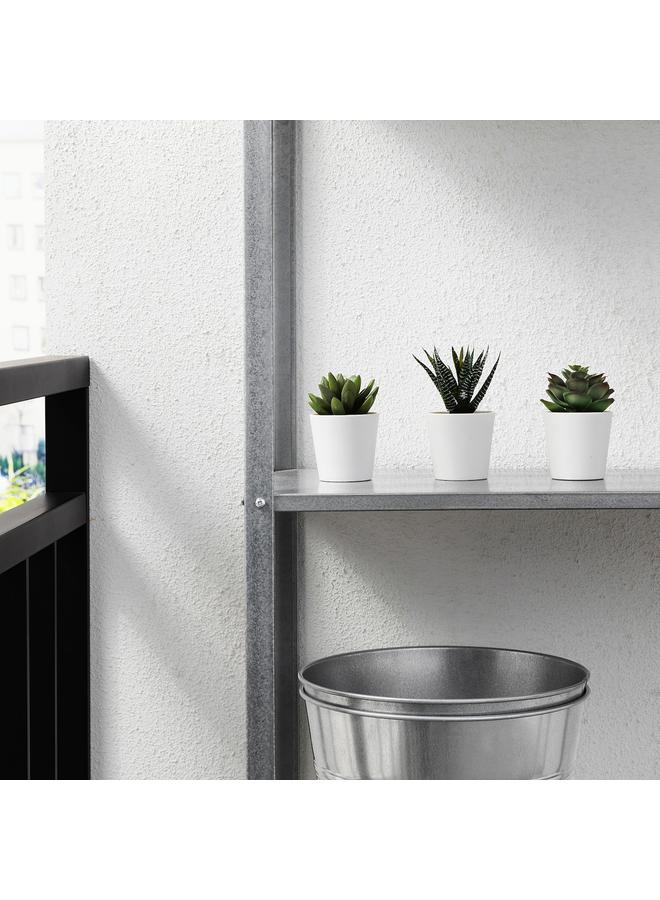 Zaboon Artificial Potted Plant With Pot, In/Outdoor Succulent, 6 Cm 3 Pack - Image 4