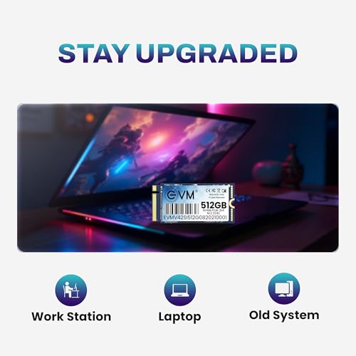 EVM 512GB M.2 NVMe SSD 2242 | PCIe Gen3 Internal Solid State Drive | 2000MB/s Read | 900MB/s Write | High Speed Storage | Shock Resistant | Laptop & Desktop Compatible | 5 Year Warranty(EVMNV42/512GB) - Image 4