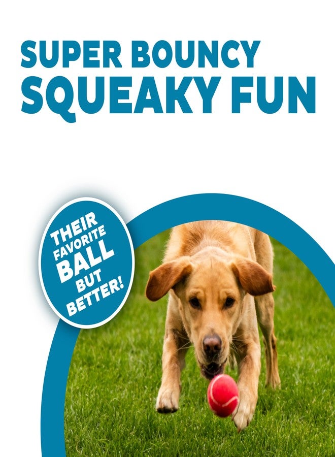 Outward Hound Squeaker Ballz 4-Pack Tennis Ball Dog Toys with Squeaker, Interactive Fetch Play for Pets Under 50 lbs, Training Balls for Indoor & Outdoor Exercise, Medium, 2.5-inch - Image 2