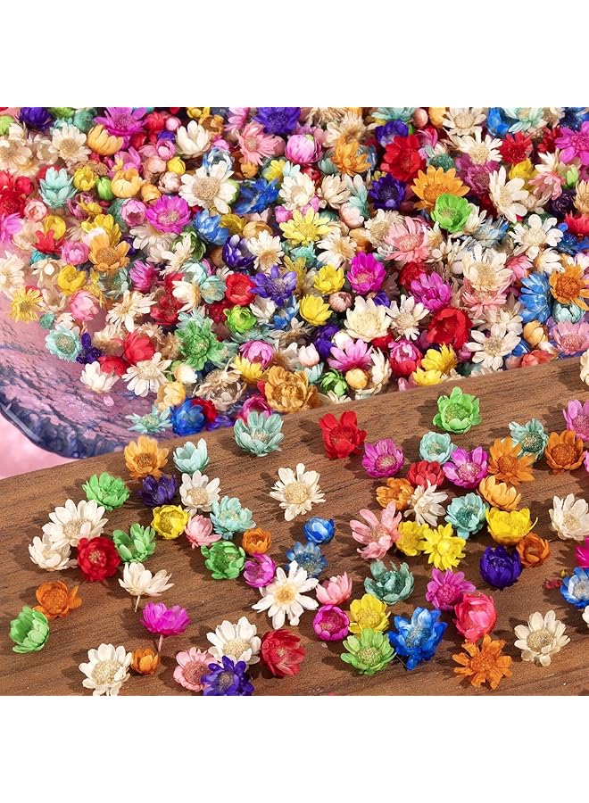 The Bros Small Dried Flowers for Crafts,Mini Dried Flowers for Resin, Tiny Natural Real Dried Pressed Flowers Bulk for DIY Jewelry Earrings Epoxy Molds, Candles Soap Making(300pcs) - Image 1