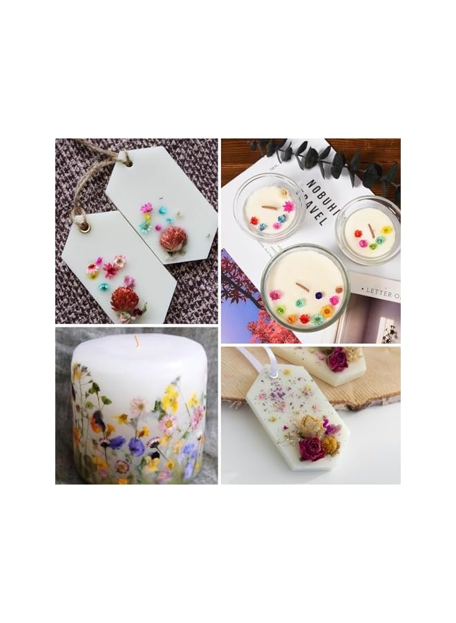 The Bros Small Dried Flowers for Crafts,Mini Dried Flowers for Resin, Tiny Natural Real Dried Pressed Flowers Bulk for DIY Jewelry Earrings Epoxy Molds, Candles Soap Making(300pcs) - Image 5