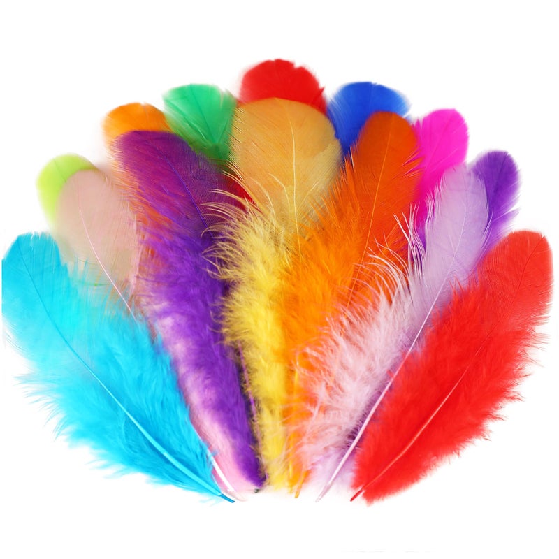 Soarer Colorful Craft Rooster Feathers - 300pcs 3-5inch Colored Feathers Bulk for DIY Crafts,Wedding Home Party Decorations,Dream Catcher Supplies(Rooster Colorful) - Image 1