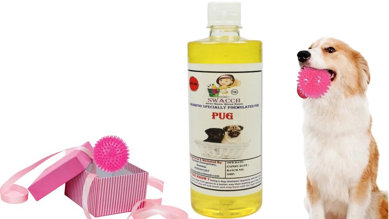 swacch Shampoo | Puppy Safe Shampoo | PH Balanced | Ditch to Itch for Pug Dog Shampoo 500ml (Lemon) + Spike Ball Chew Toy Combo Pack - Image 1