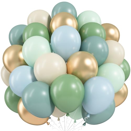 Paeyeq Dusty Blue Green Balloons 60 Pcs 12 Inch Haze Fog Blue Sage Green Balloons with Sand White Metallic Gold Balloon for Boho Baby Shower Wedding Birthday Engagement Bridal Shower Party Decoration - Image 1