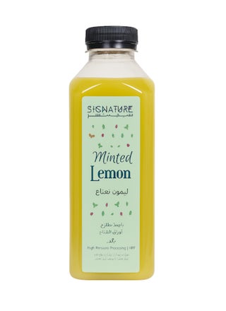 Fresh Minted Lemon Aid Juice