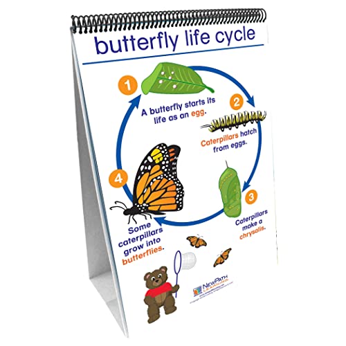 New Path Learning NewPath Learning All About Animals Curriculum Mastery Flip Chart Set, Early Childhood - Image 4