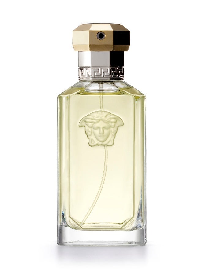 VERSACE The Dreamer EDT 100ml - Image 2
