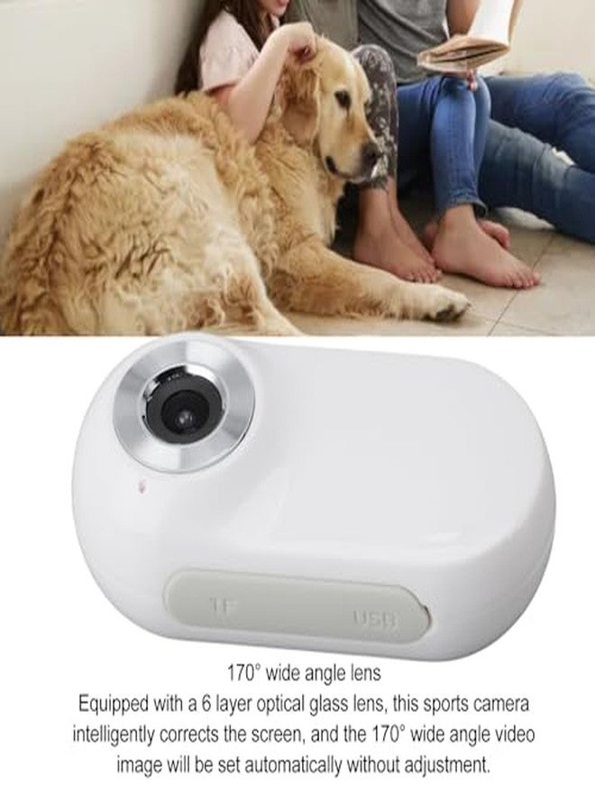 Sanpyl Pet Collar Camera HD 1080P, 0.96 inch LCD Display, 5 Minutes Video, for Cats Dogs, ABS Material - Image 4