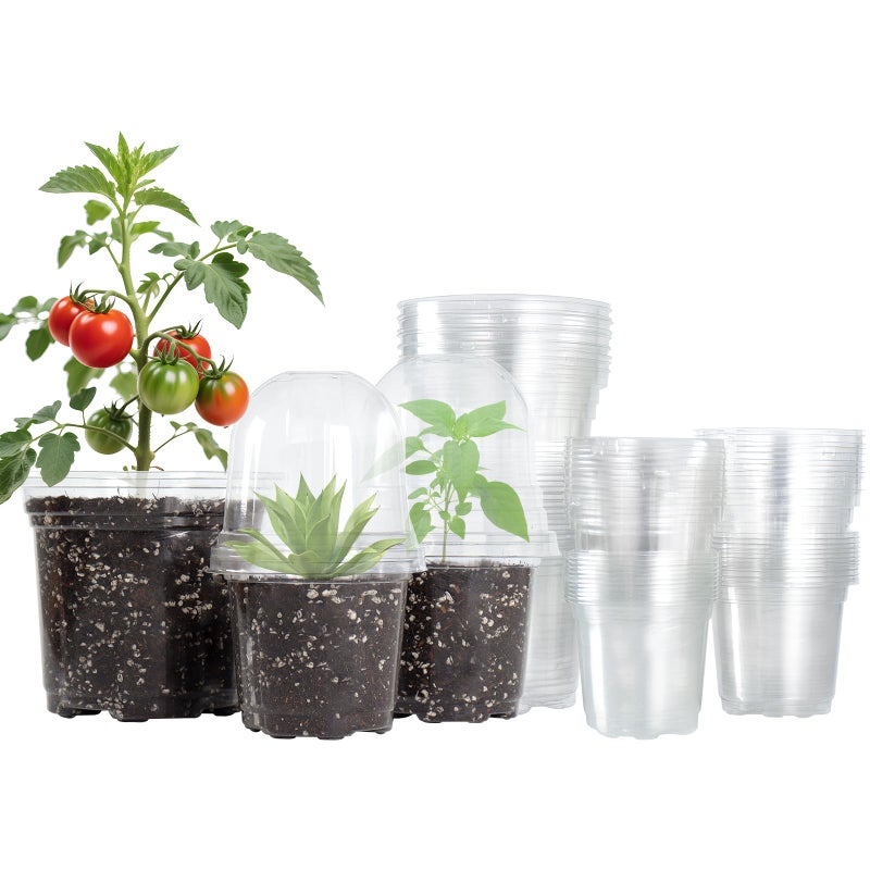 Bluepro 36 Packs 5/4/3.5 Inch Clear Nursery Pots With Humidity Domes  Transparent Plant Pots With Drainage Holes  Variety Pack Seed Starting Pots For Succulents  Flowers And Cactus - Image 1