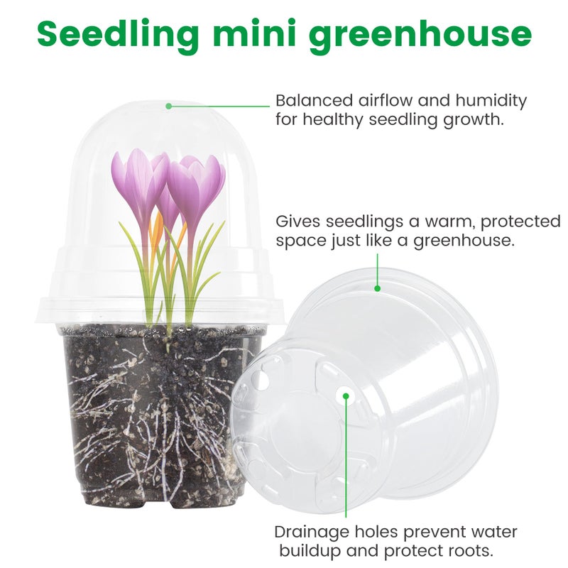 Bluepro 36 Packs 5/4/3.5 Inch Clear Nursery Pots With Humidity Domes  Transparent Plant Pots With Drainage Holes  Variety Pack Seed Starting Pots For Succulents  Flowers And Cactus - Image 3