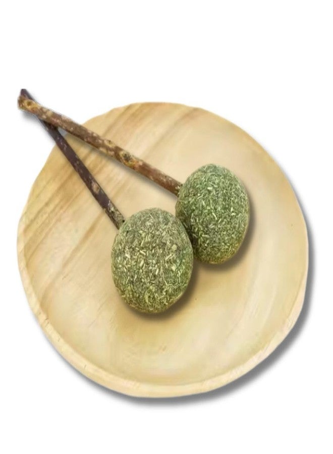 PET FUN لعبة كرات النعناع البري من بيت فن | مصاصات طبيعية بنكهة النعناع البري لتنظيف الأسنان والمضغ واللعق | نفس منعش ومرح للقطط والقطط الصغيرة (عبوة من قطعتين) - Image 1