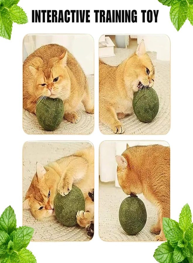 PET FUN لعبة كرات النعناع البري من بيت فن | مصاصات طبيعية بنكهة النعناع البري لتنظيف الأسنان والمضغ واللعق | نفس منعش ومرح للقطط والقطط الصغيرة (عبوة من قطعتين) - Image 5