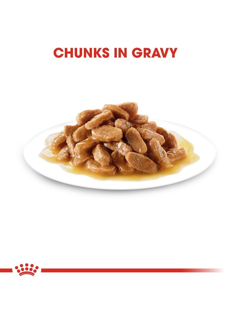 Royal Canin Size Health Nutrition Medium Puppy (WET FOOD - Pouches) 10 x 140g - Image 3