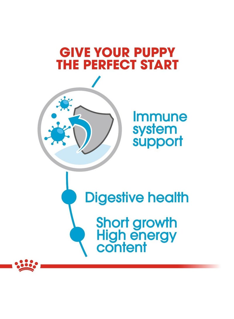 Royal Canin Size Health Nutrition Medium Puppy (WET FOOD - Pouches) 10 x 140g - Image 5