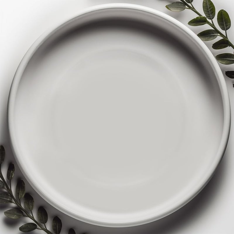 Willowy Willowy Matte White Ceramic Pot Saucer  Drainage Tray for 9 10 11 12 Inch Planters  More Sizes 