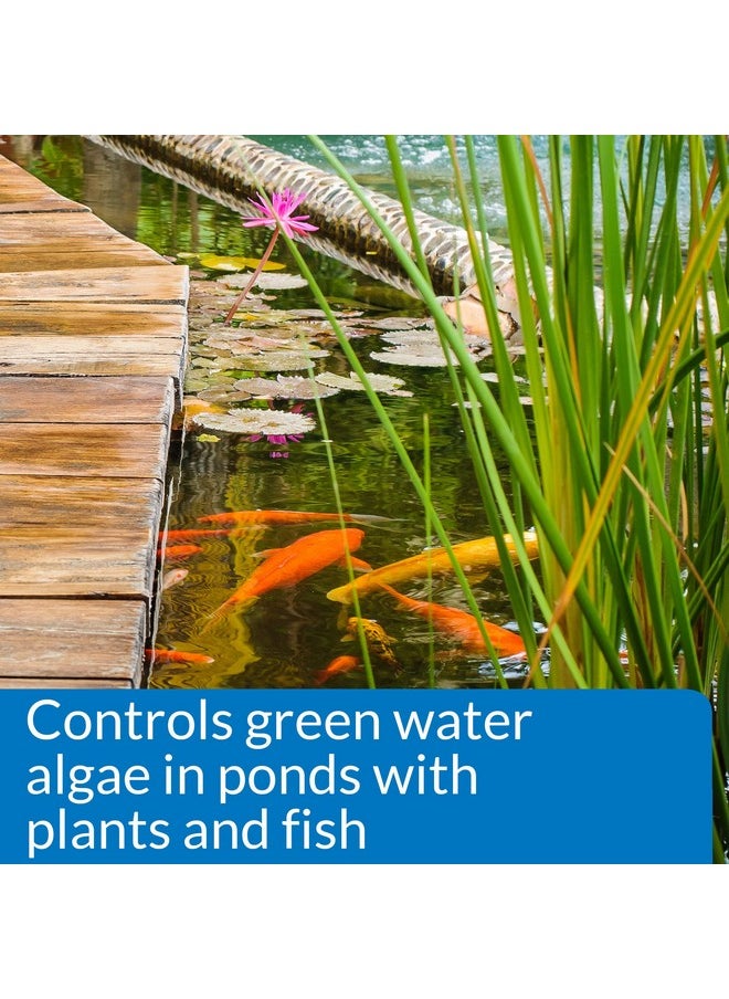 ايه بي آي API PONDCARE MICROBIAL ALGAE CLEAN مثبط بيولوجي للمياه الخضراء، نهج بديل لمكافحة الطحالب، زجاجة سعة 16 أونصة  - Image 3