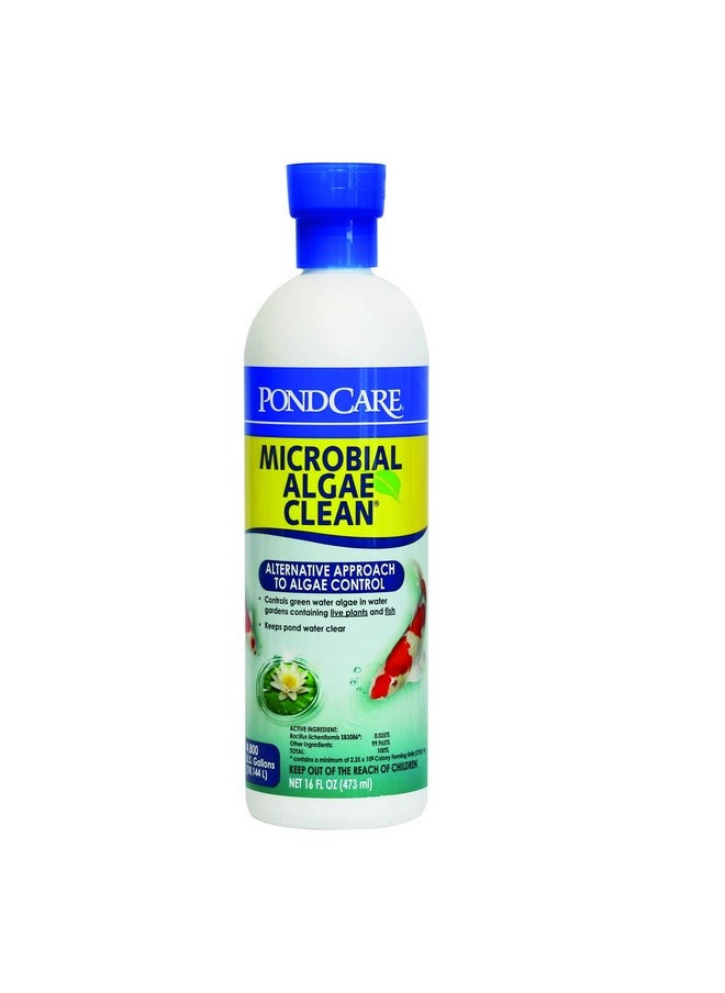 ايه بي آي API PONDCARE MICROBIAL ALGAE CLEAN مثبط بيولوجي للمياه الخضراء، نهج بديل لمكافحة الطحالب، زجاجة سعة 16 أونصة  - Image 1