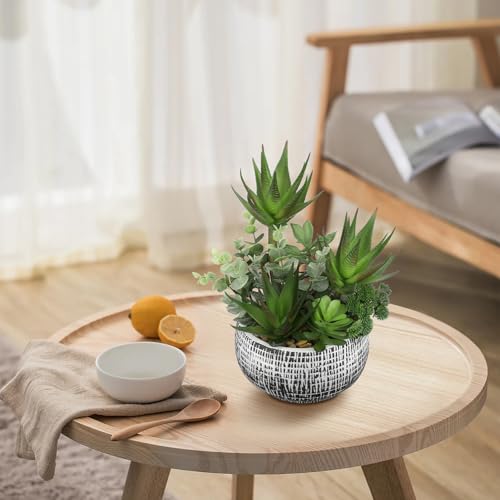 Villa Como 11” Large Succulents Aloe Plants Artificial in Ceramic Pots Potted Faux Succulent Eucalyptus Arrangement with Black Bowl Pots Fake Desk Succulents Plants for Home Bathroom Shelf Table Indoor Decor - Image 5